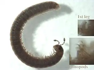 Description de cette image, également commentée ci-après