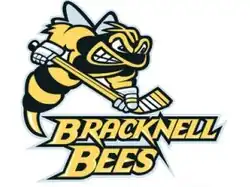 Description de l'image Bracknell Bees logo.jpg.