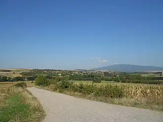 Bradarac (Aleksinac)