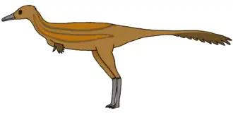 Description de l'image Bradycneme.png.