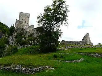 Image illustrative de l’article Château des comtes de Comminges de Bramevaque