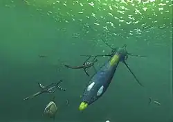 Brancasaurus dans son habitat naturel avec des poissons pycnodontiformes, avec Caturus et Hybodus en arrière-plan.