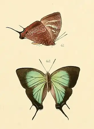 Description de cette image, également commentée ci-après