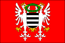 Drapeau de Březnice