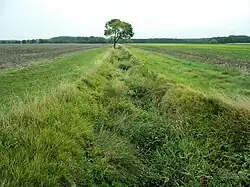 Photographie en couleurs d'un fossé séparant deux champs cultivés.