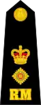 Lieutenant Colonel