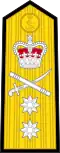 Epaulettes D'un Vice Amiral dans la Royal Navy avant 2001.