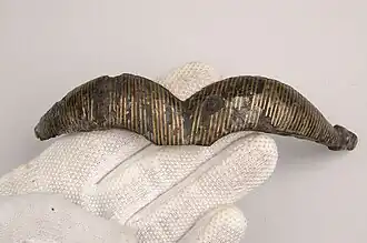 Image illustrative de l’article Casque de Broe