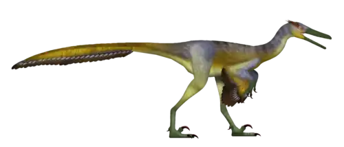Buitreraptor