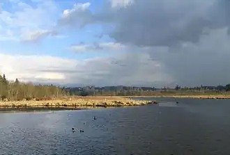 Image illustrative de l’article Lac Burnaby