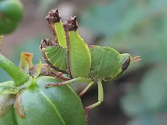 Description de cette image, également commentée ci-après