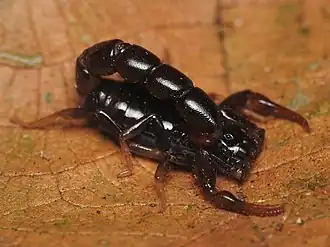 Description de cette image, également commentée ci-après