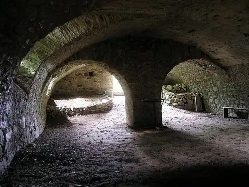Caves voûtées de l'abbaye de Buzay.