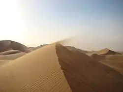 Photographie d'une dune.