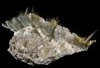 Byssolite - Vallée d'Aure France (8&nbsp;×&nbsp;4&nbsp;cm)