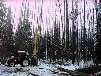 Câble-mât Larix Lamako (2010).