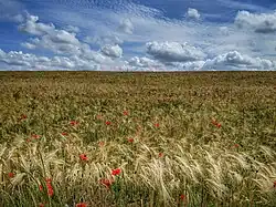 Sur le Chemin des moines (entre La Vieille-Lyre et La Neuve-Lyre)