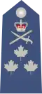 Canada Air Force, Lieutenant général
