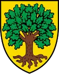 Blason de Échallens