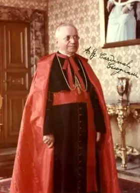 Image illustrative de l’article Amleto Cicognani