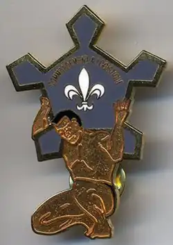 Insigne de la compagnie de commandement et logistique du 43e&nbsp;régiment d'infanterie