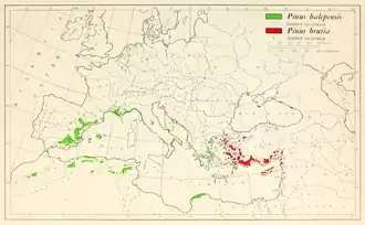 Comparaison des aires de répartition de Pinus halepensis et Pinus brutia.