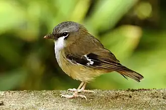 Description de cette image, également commentée ci-après