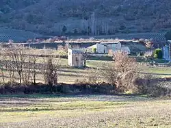 Cabanon au milieu d'un champ.