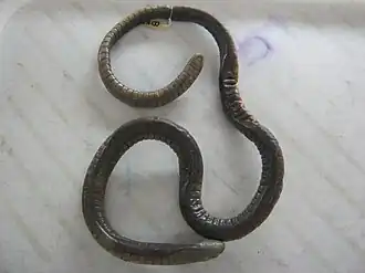 Description de cette image, également commentée ci-après