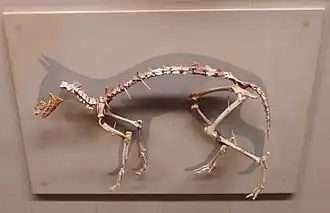 Description de cette image, également commentée ci-après