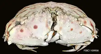 Description de cette image, également commentée ci-après