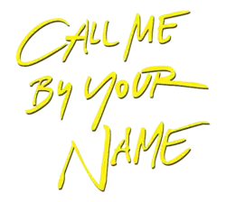 Description de l'image Call Me By Your Name.png.