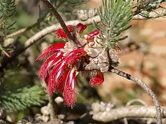 Description de cette image, également commentée ci-après