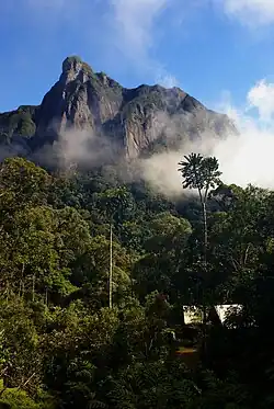 Un camp au coeur de la forêt tropicale humide, avec une falaise abrupte devant lui.