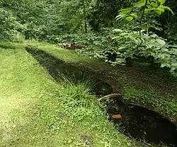 Photographie en couleurs d'un lavoir en forme de long bassin entouré de berges herbues et abrité dans un écrin de verdure composé d'arbres feuillus.