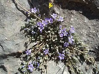 Description de cette image, également commentée ci-après