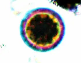 Description de cette image, également commentée ci-après