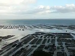 Les parcs à huîtres.