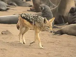 Description de cette image, également commentée ci-après