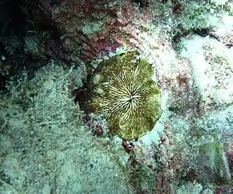 Description de cette image, également commentée ci-après