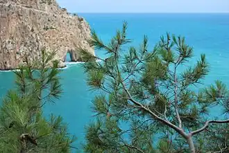 Vue sur un pic face à la mer.