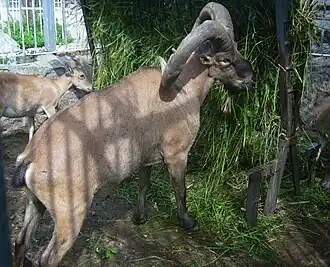 Description de cette image, également commentée ci-après