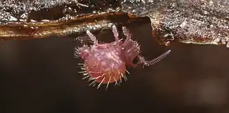 Description de cette image, également commentée ci-après