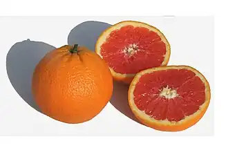 Image illustrative de l’article Orange Cara Cara