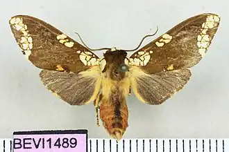 Description de cette image, également commentée ci-après