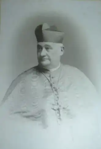 Image illustrative de l’article Giulio Boschi