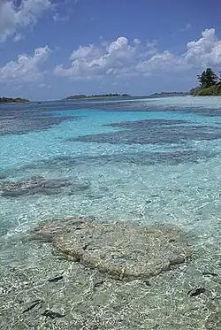 Coraux affleurant dans le lagon