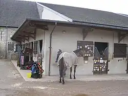 Photo d'une partie d'une écurie avec un cheval au premier plan sans selle cachant son cavalier bombé.