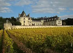 Château de Brézé, en Maine-et-Loire.