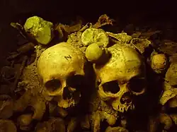 Crânes abîmés par des visiteurs.